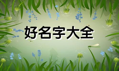 微信如何起名张字开头四字