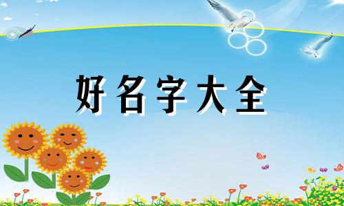 如何用梅花起名字男孩子