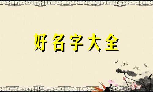 猫武士如何起名字好听一点