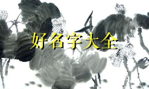张姓龙凤胎如何起名字女孩