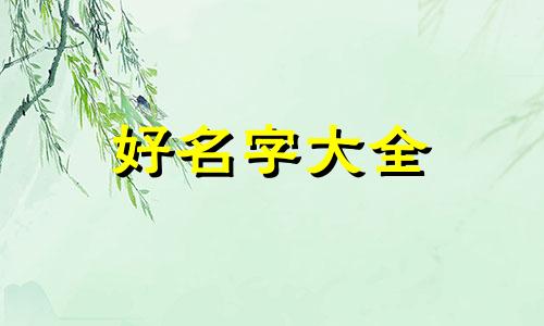 如何起名字女士网名两个字