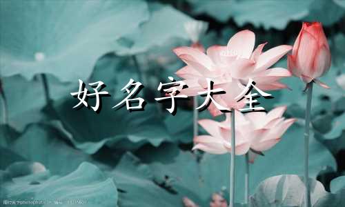 如何为粉丝团起名称和口号
