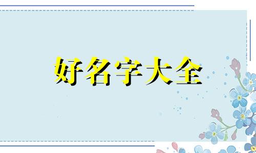 如何给汉堡起名字好听一点