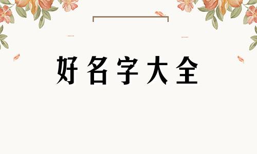 公司免费如何起名字好听一点
