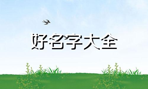 卖周黑鸭如何起名字呢图片
