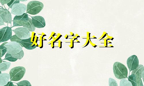 如何在小红书上起名字和头像