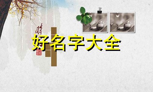 如何给猫头鹰起名字呢英文