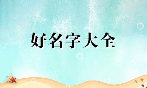 航空题材的手工作品如何起名字