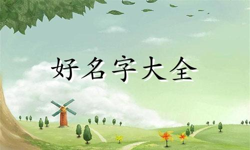 钵仔糕如何起名字吸引人