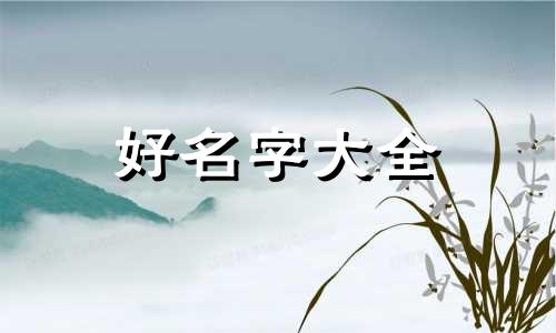 韩姓龙凤胎如何起名字好听