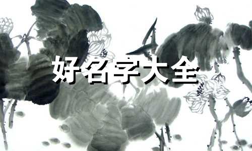 卖杯子如何起名字大气一点