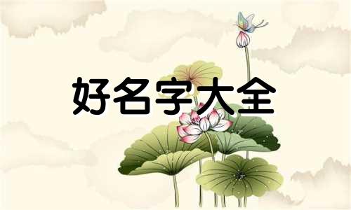糯米糕点店如何起名子好听呢