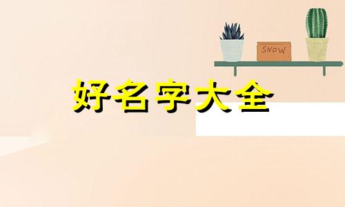 如何给野猫起名字好听一点