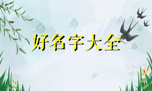 欧美人如何起名字男的女的