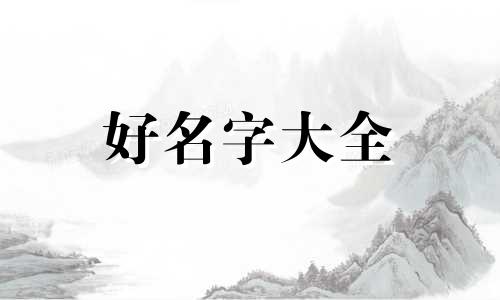 零食类如何正确起名字大全