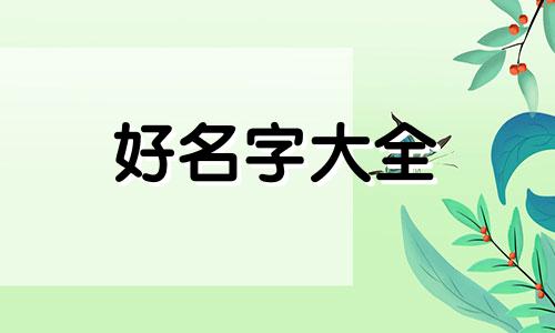 开橱窗如何起名字好听一点