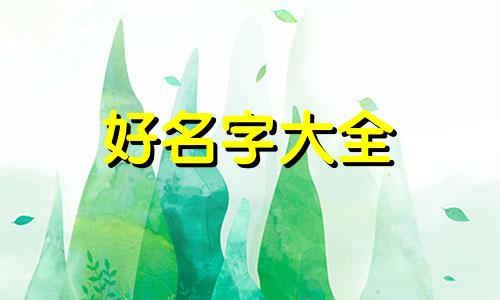 卢和陈如何起名字男孩子