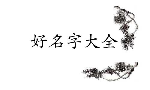 设计师工作室如何起名子的