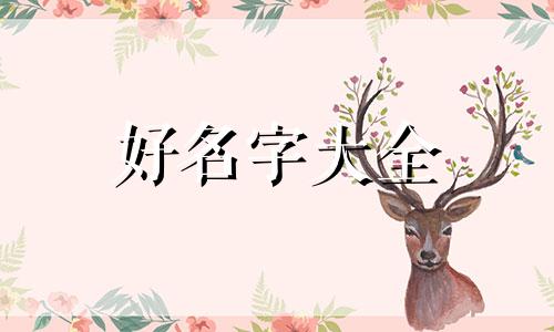 丁吉虎如何起名字女孩子