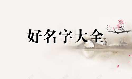 如何给游学计划起名字和口号