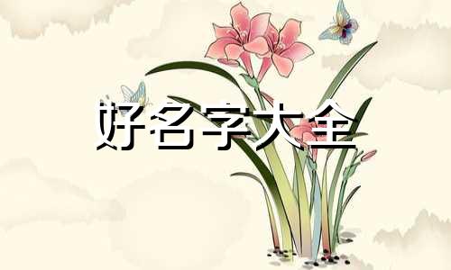 戊寅虎年八字如何起名字