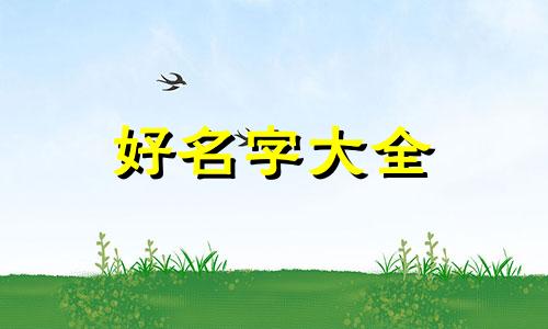 兔宝宝19点到20点如何起名