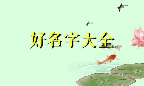 海边民宿如何起名字的好听点