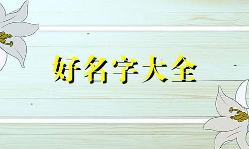 焖锅如何起名字好听一点