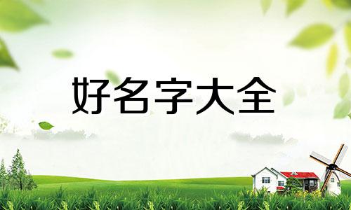 如何给好物分享店铺起名字