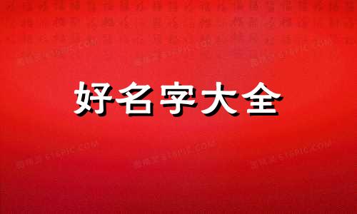 五月的小狗如何起名字大全