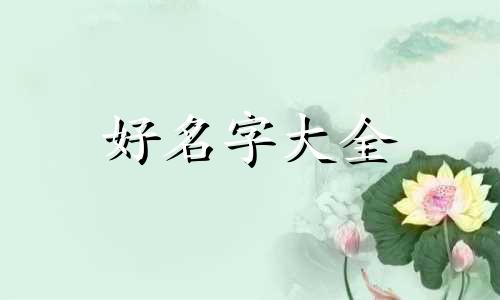 如何给小动物起名字呢英语