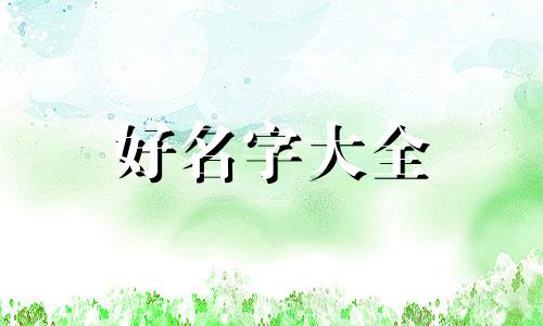 如何给宠物狗互动起名字