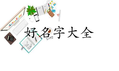 如何给灰猫起名字可爱又好听