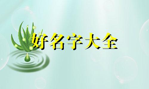 单人豪华版套餐如何起名字