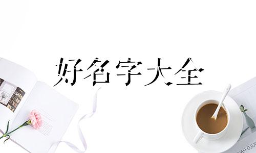 卖杯子如何起名字大气四字