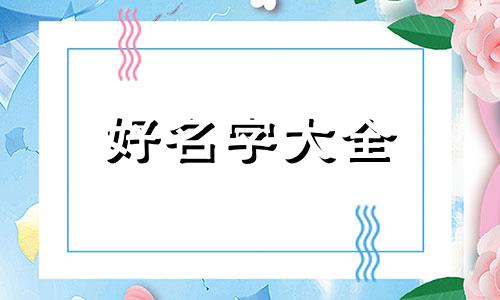 陶瓷厂如何起名字宠物用的
