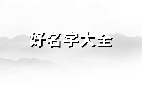 分两个队如何起名字合适