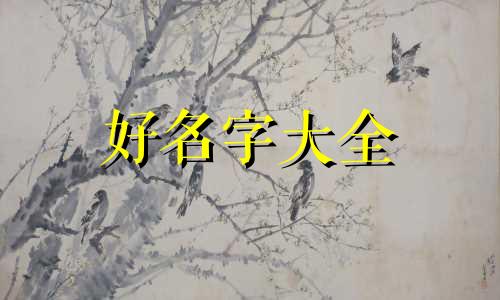五行缺木给男孩起名如何取