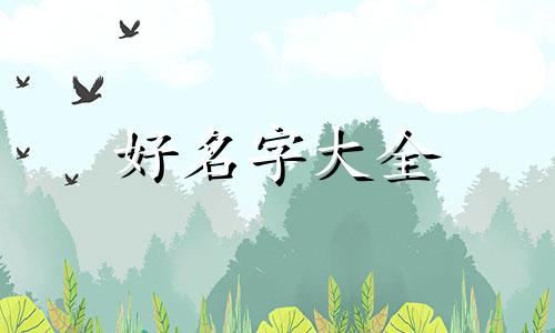 五行木旺缺土如何起名男孩