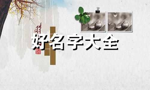 拼多多如何给自己的产品起名字
