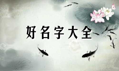 六角龙如何起名字和寓意