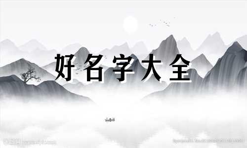 主播带货如何起名字呢女生