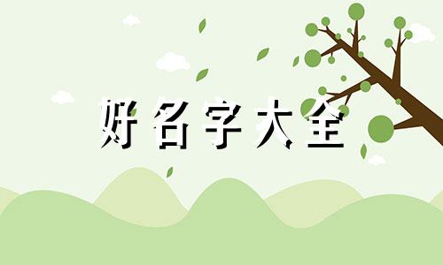 如何给汽车美容店起名字大气