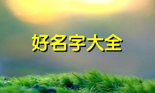 市政道路如何起名称呢英语
