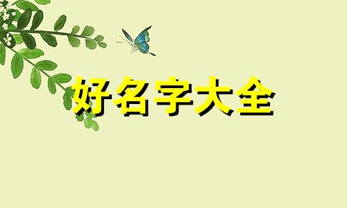 轻食博主如何起名字女的