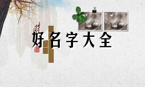 如何给鱼锅起名字大全好听