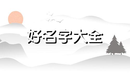 马加杨4个字起名如何取名