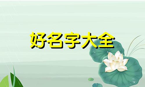 李姓男孩2017年生起名如何