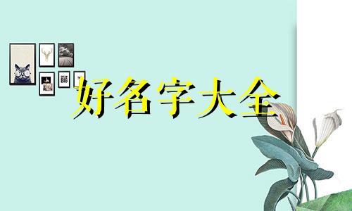 父姓何母姓魏如何起名字