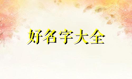 体育训练营如何起名字呢